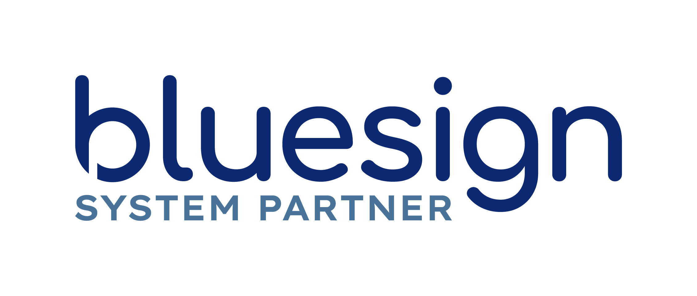 Bluesign_System_Partner_Logo_Blue_RGB_Plan de travail 1 copie.png